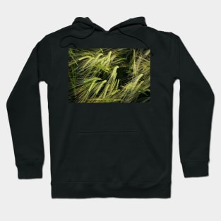 Swaying Gently Hoodie